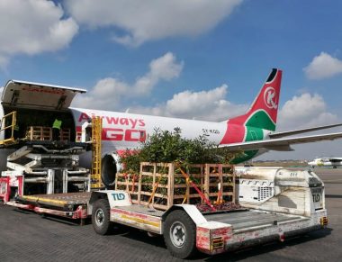 air freight/ air cargo services in kenya TopLink consolidators